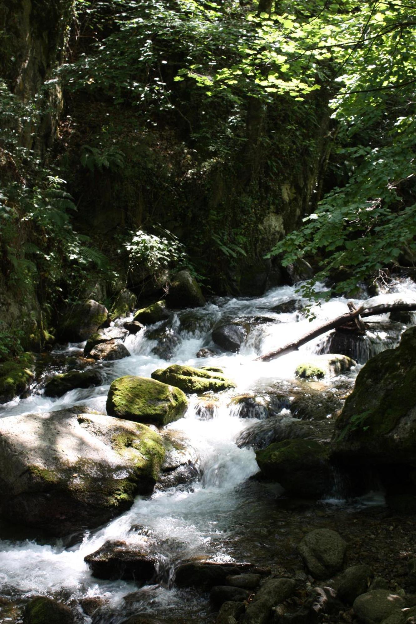 Compostela Daire Le Puy-en-Velay Dış mekan fotoğraf